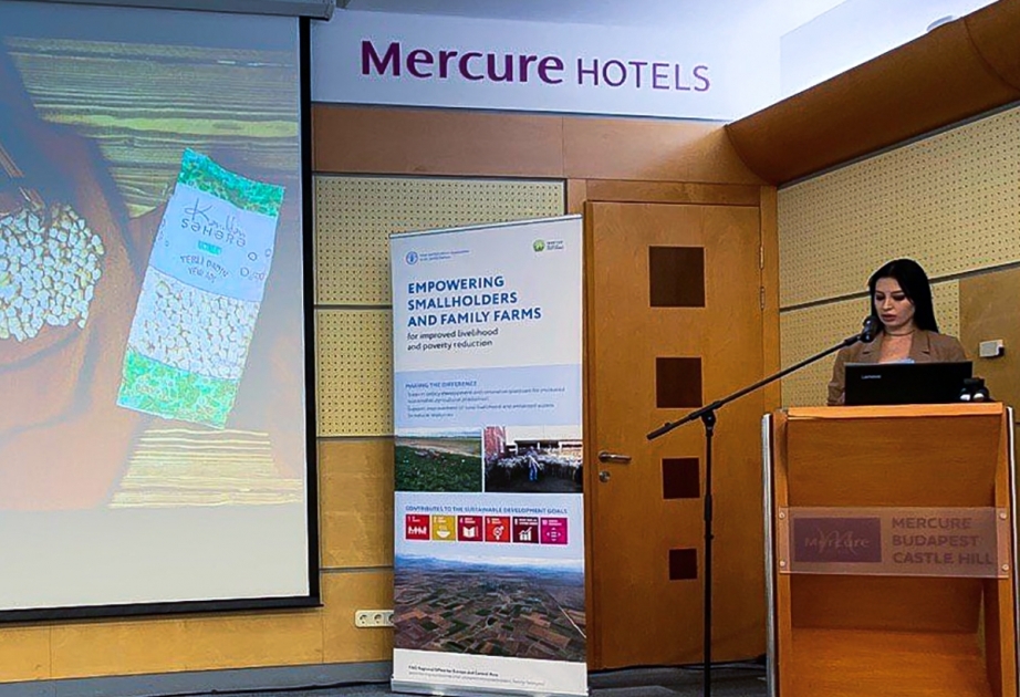 Presentación del proyecto agrícola local en Budapest