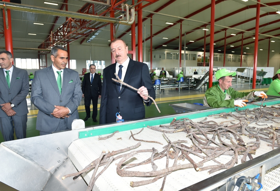 Aghdach : inauguration d’un parc industriel de réglisse VIDEO