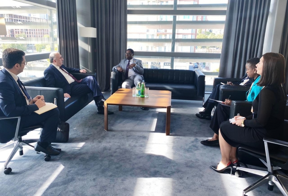 Ministro azerbaiyano Mammadyarov mantuvo reuniones con los altos funcionarios de Zambia y Etiopía