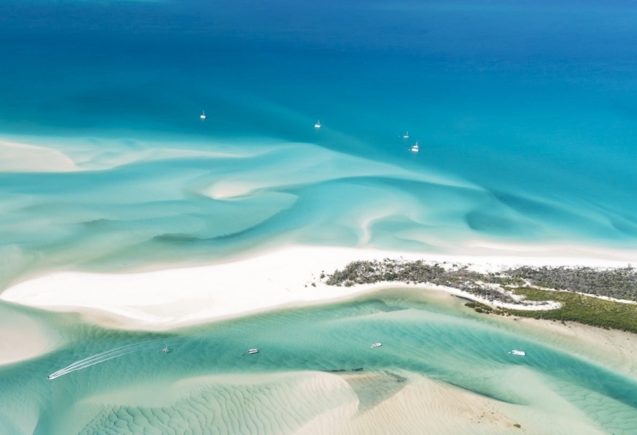 Nahe australischen Whitsunday-Inseln Hai zwei junge Urlauber gebissen