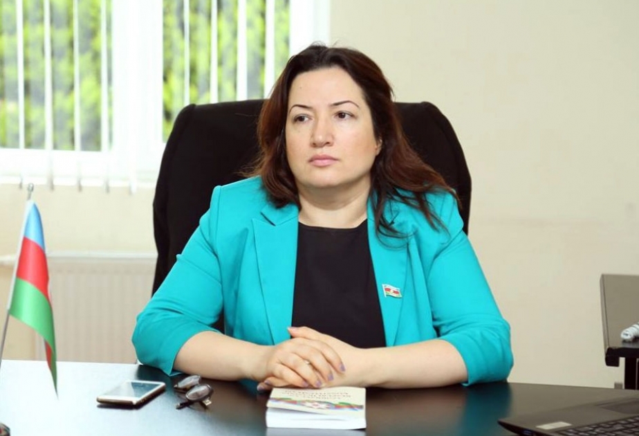 Pərvin Kərimzadə: Son bir ayda baş verən hadisələr Azərbaycanın xarici siyasətində yeni mərhələnin başlanğıcı oldu