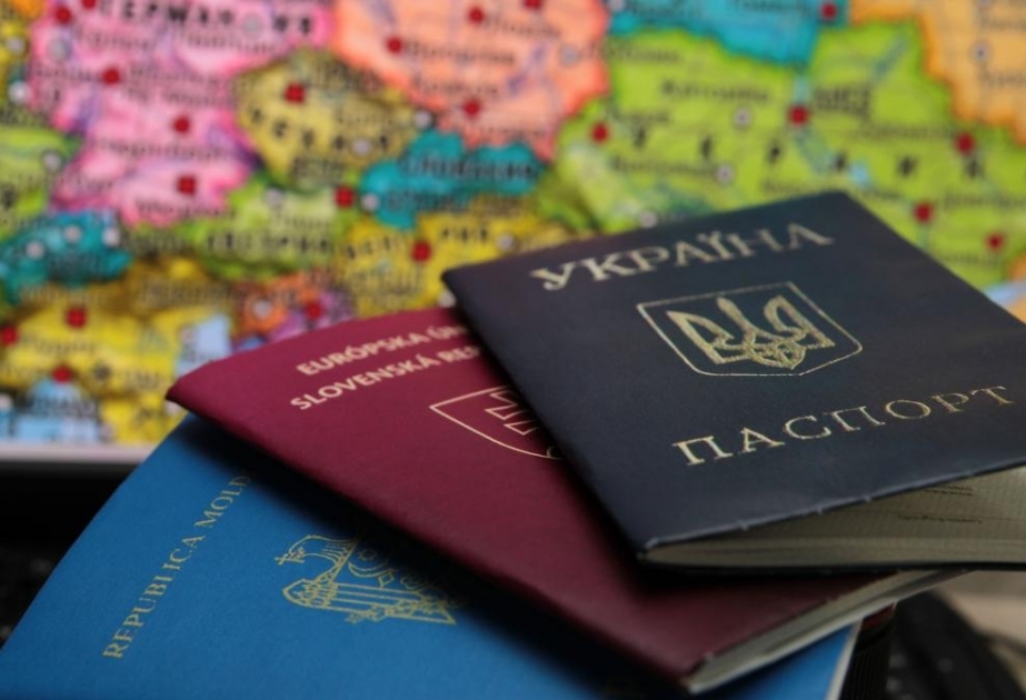 Правительство Украины рассматривает пути внедрения концепции двойного гражданства