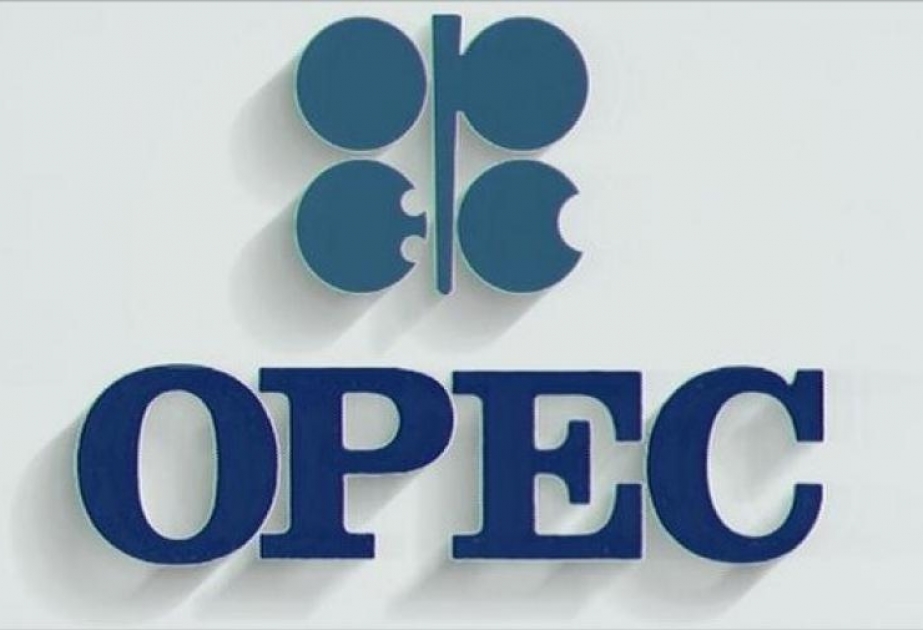 ОПЕК прогнозирует возрастание роли блокчейна и big data в нефтяной отрасли