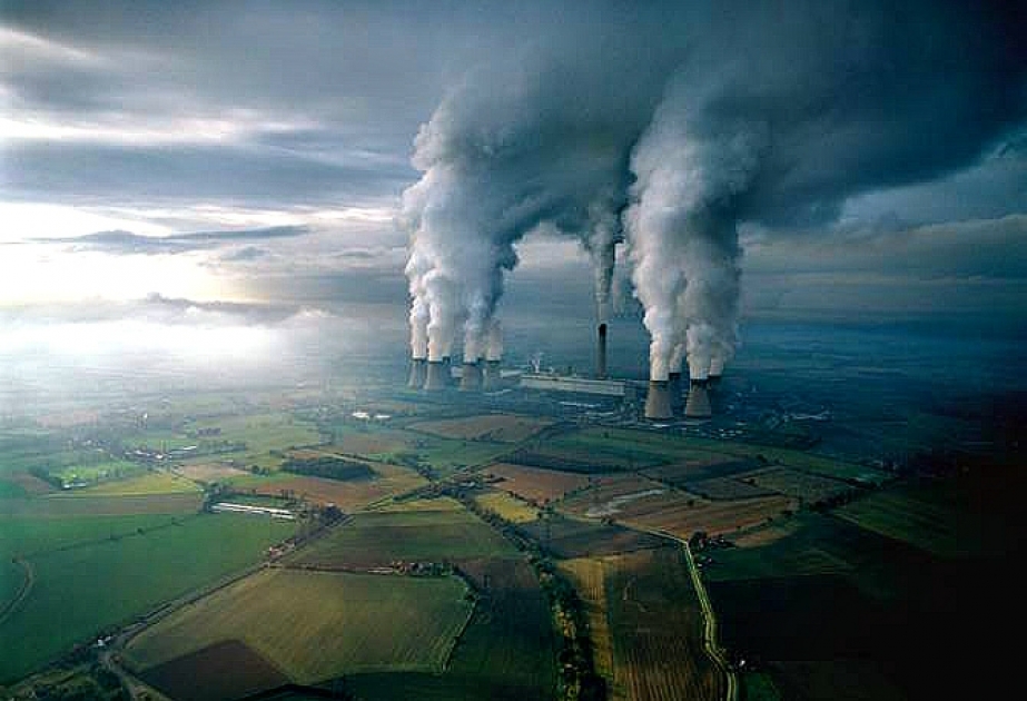 ОЭСР: К 2060 году загрязнение воздуха может привести к преждевременной смерти до девяти миллионов человек во всем мире