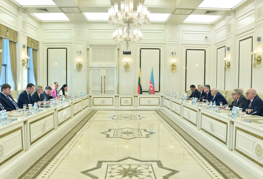 Огтай Асадов: Азербайджано-литовские связи вступают в новый этап