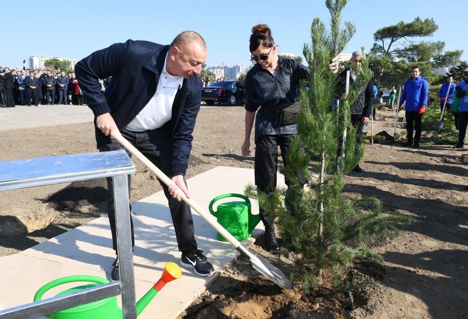 Presidente Ilham Aliyev y primera dama Mehriban Aliyeva asistieron a una campaña de plantación de árboles