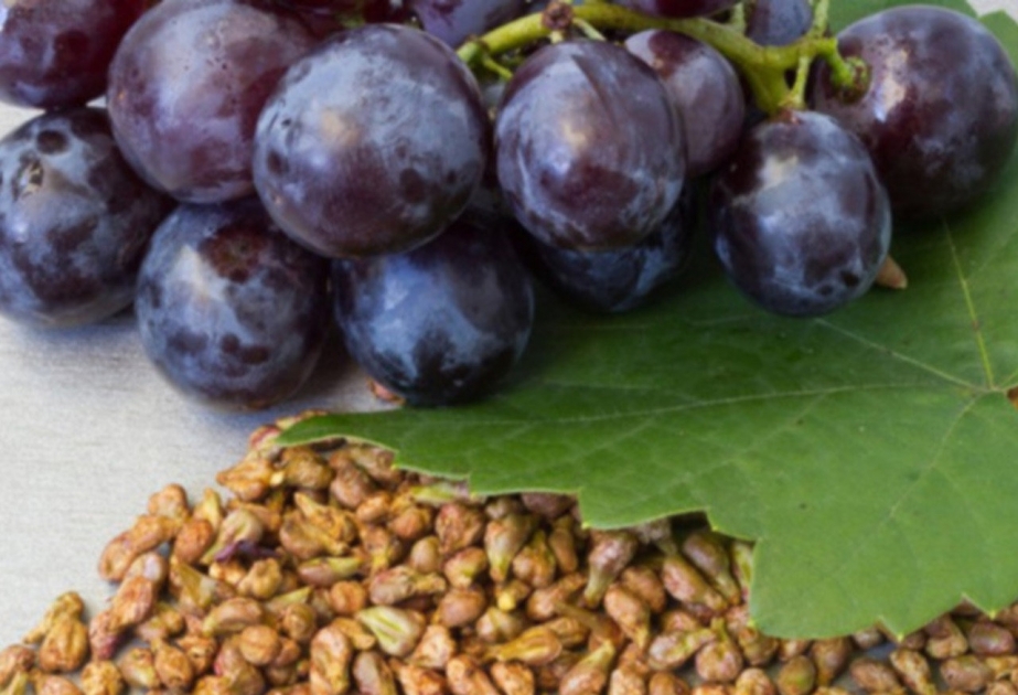 Виноградные косточки лечебные свойства польза и вред | Натуральная медицина