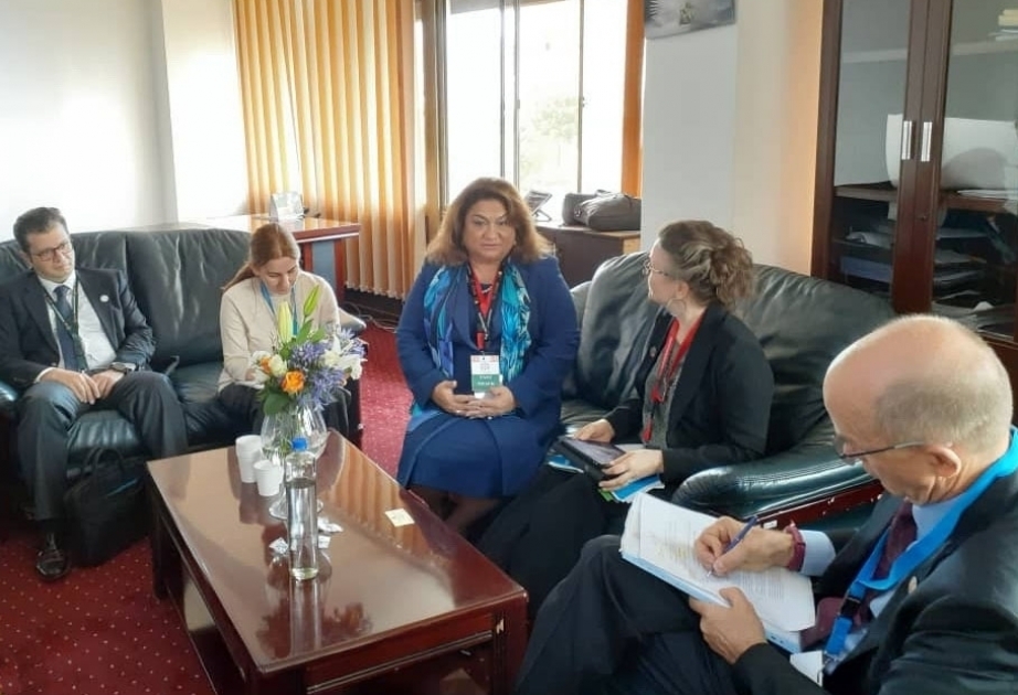 Se destaca en la Cumbre de Nairobi el trabajo realizado en el campo de los derechos de las mujeres en Azerbaiyán