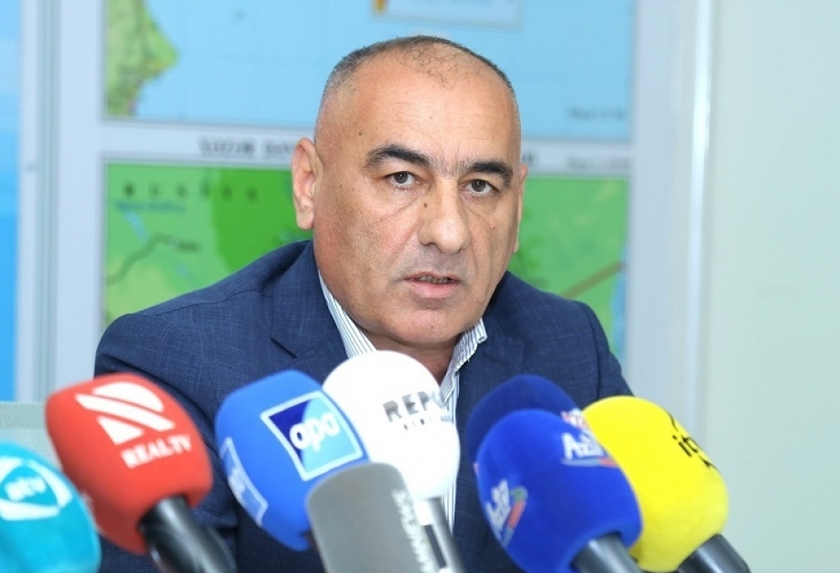 Bəzi açıq meşə sahələri uzunmüddətli icarəyə verilib