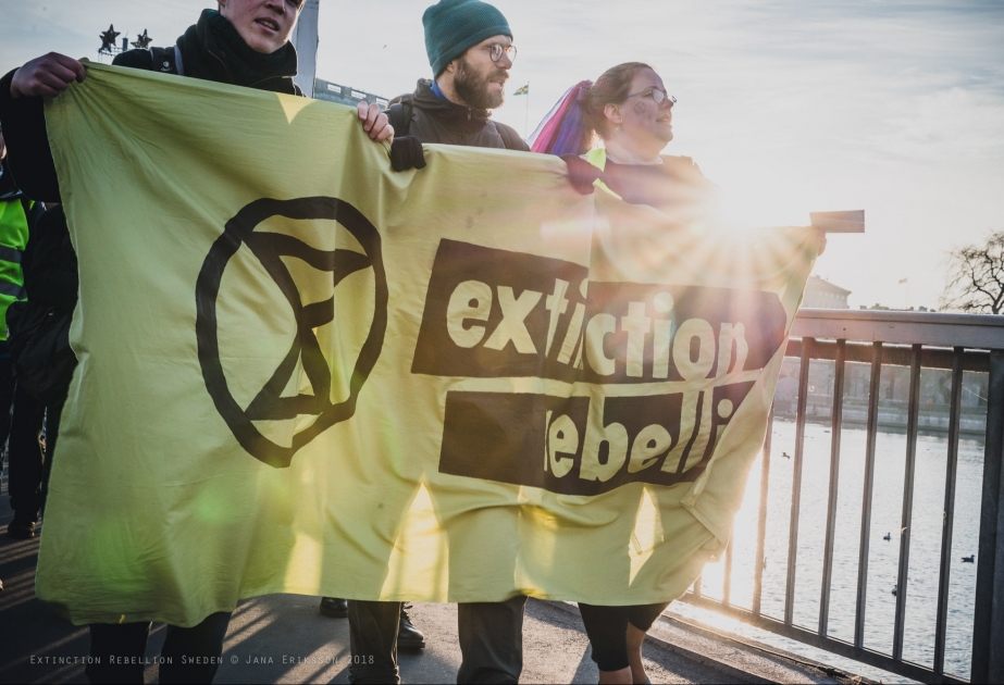 Шведские активисты начинают голодовку с требованием принятия неотложных действий для полного сокращения вредных выбросов в Швеции к 2025 году