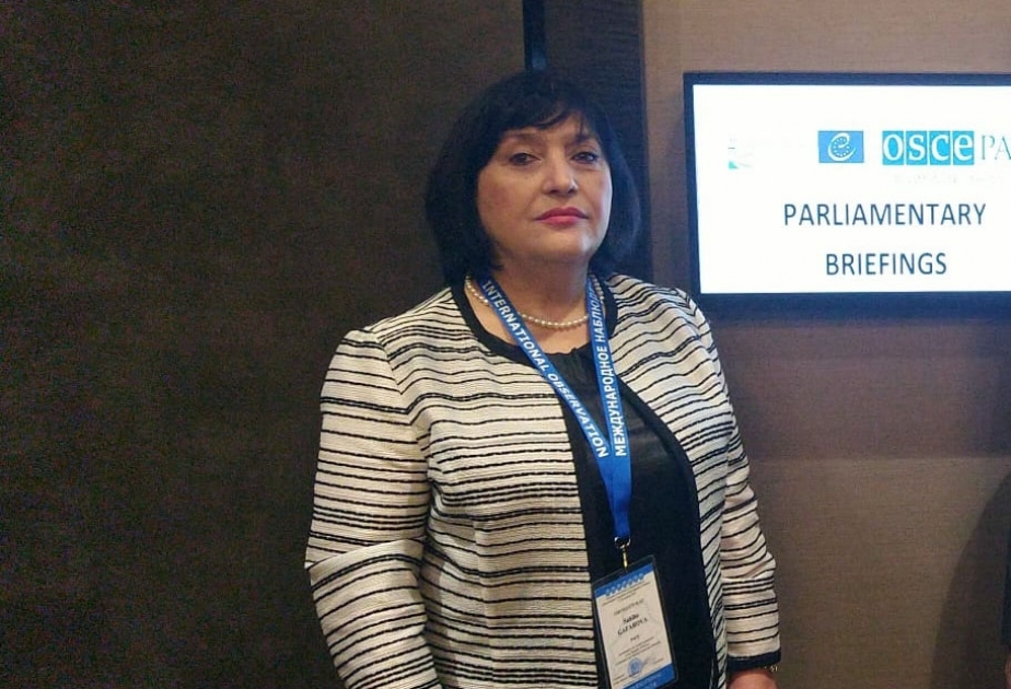 Sahibə Qafarova: Belarusda müşahidə apardığım məntəqələrdə səsvermə prosesi normal keçib