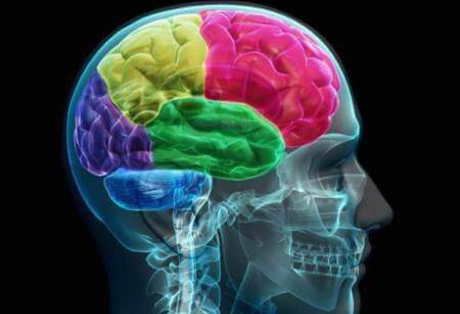 Ученые впервые проследили за работой мозга людей с одним полушарием