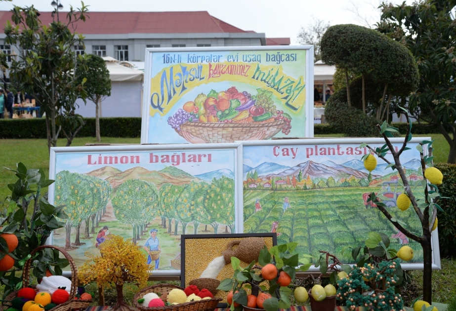 En Lankarán se celebra III Festival de Té, Arroz y Cítrus