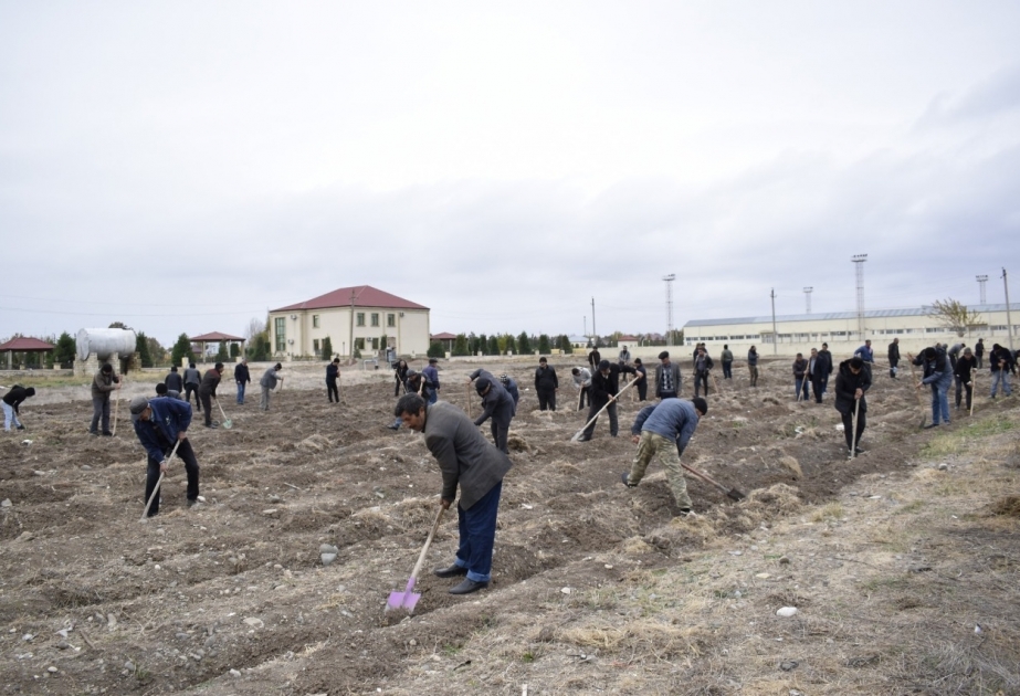 650 min ağac əkək: Füzuli rayonunda ağac əkiləcək ərazilər müəyyənləşdirilib FOTO VİDEO
