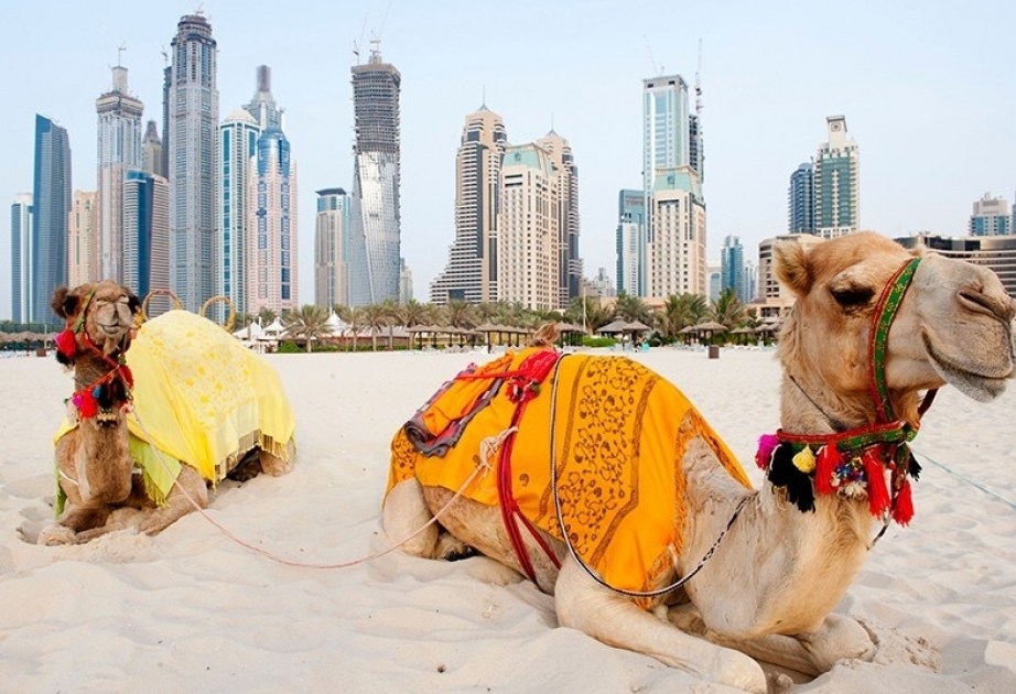 Составлен рейтинг развлечений для туристов в зимнем Дубае