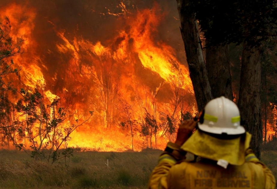 Waldbrände in Australien: Feuerwehrmann soll sieben Buschfeuer gelegt haben