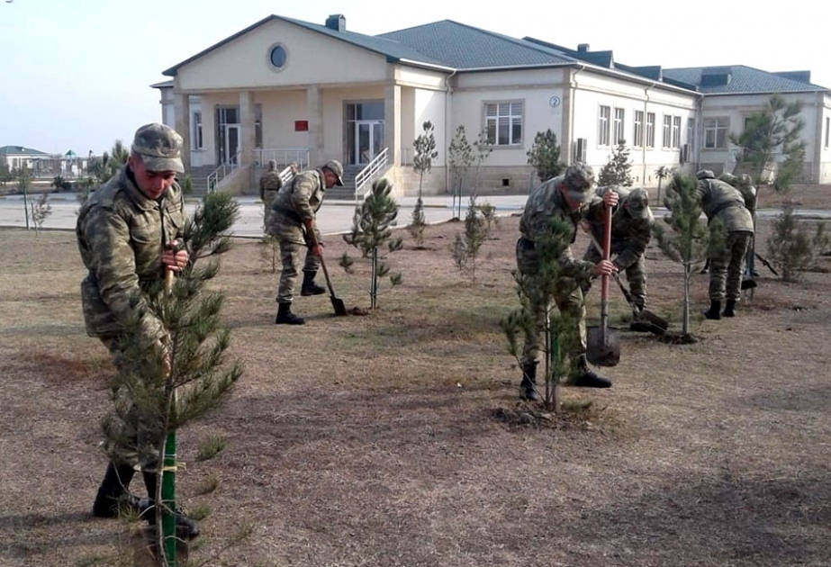 Azərbaycan Ordusunda ağacəkmə aksiyası keçirilir