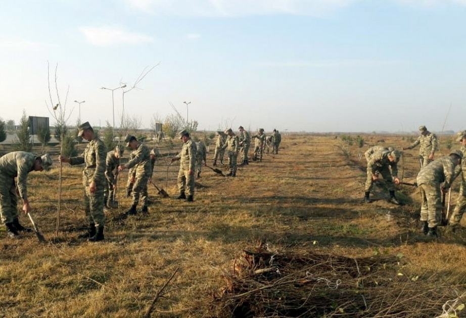 Azərbaycan Ordusunda ağacəkmə aksiyası davam edir