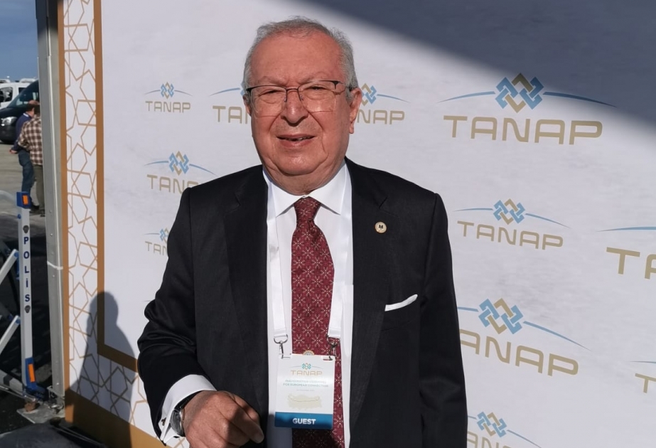 Professor Akkan Suver: TANAP-ın Avropa ilə birləşəcək hissəsinin açılışı tarixi hadisədir