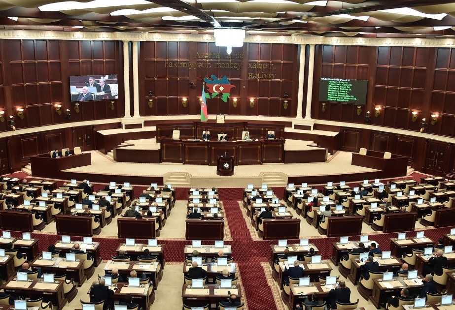 Nationalversammlung erörtert Auflösung des Parlaments und Abhaltung vorgezogener Wahlen