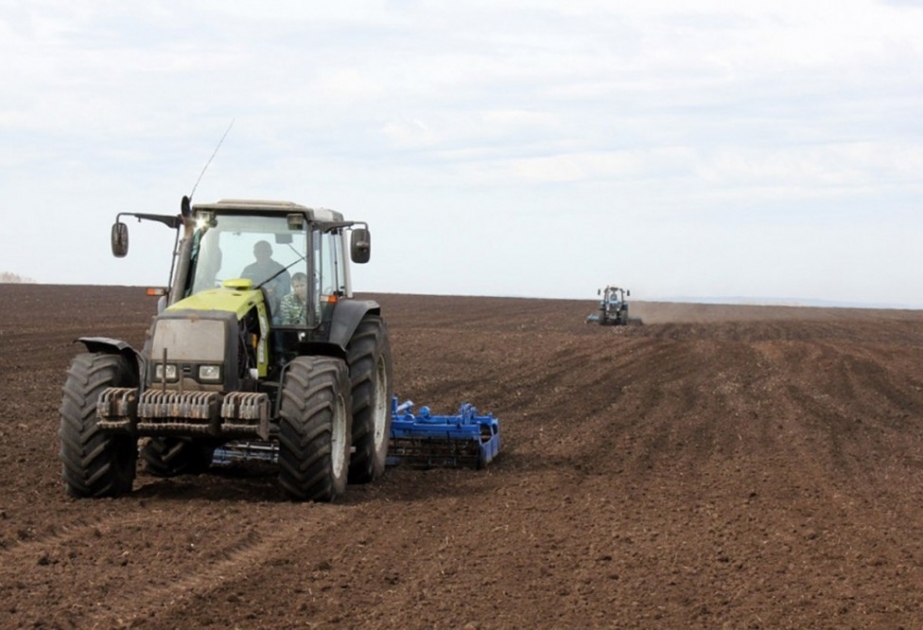 Füzuli taxılçıları 36,2 min hektar sahədə səpin aparıblar