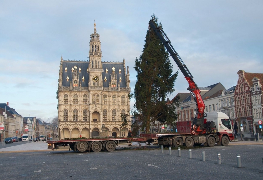 Бельгийцы добились замены уродливой рождественской ёлки