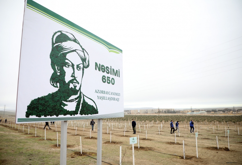 Hoy se plantan 650.000 árboles en Azerbaiyán