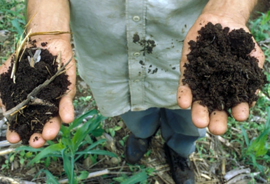 В ФАО призвали остановить дальнейшую деградацию почв