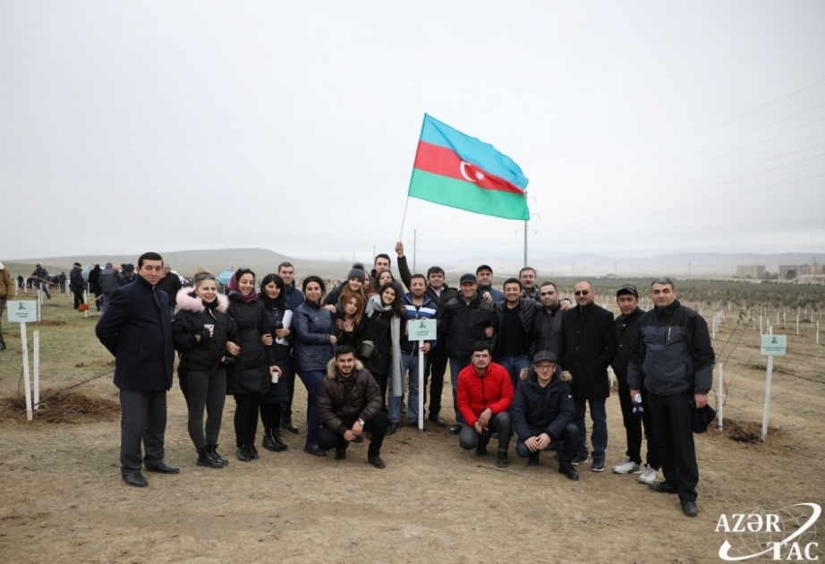 Empleados de AZERTAC participaron en la campaña de plantación de árboles con motivo del 650 aniversario de Nasimí