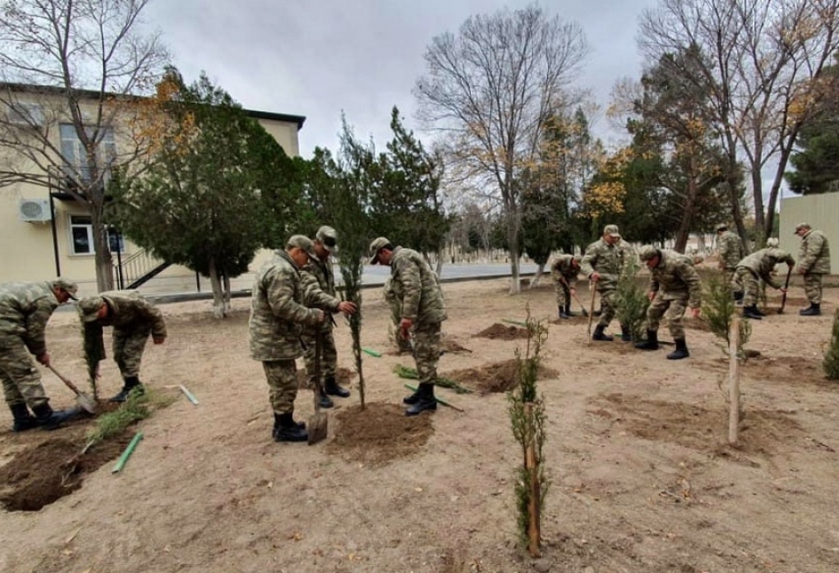 Müdafiə Nazirliyi ağacəkmə aksiyasında iştirak edib