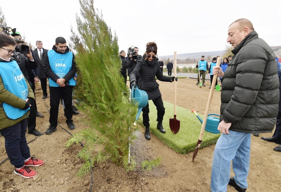 El Presidente Ilham Aliyev y la Primera Dama Mehriban Aliyeva participan en una acción de plantación de árboles en el distrito Shamají
