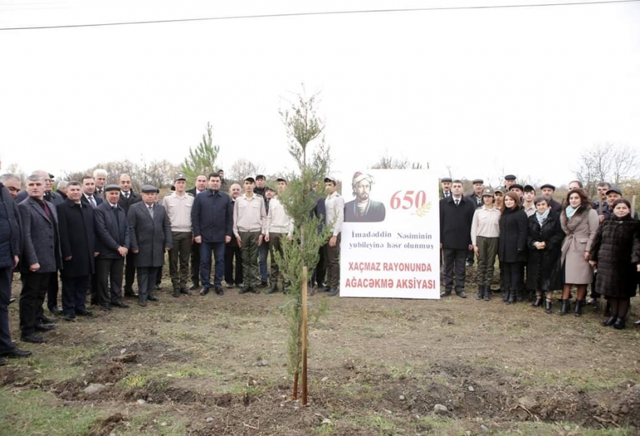 Xaçmazda yerli iqlim şəraitinə uyğun minlərlə ağac əkilib