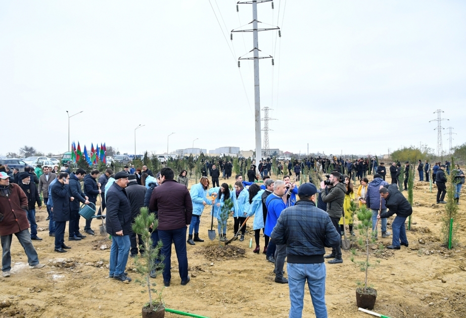 Birinci vitse-prezident Mehriban Əliyevanın təşəbbüsü ilə keçirilən ekoloji aksiyada 650 mindən çox ağac əkilib