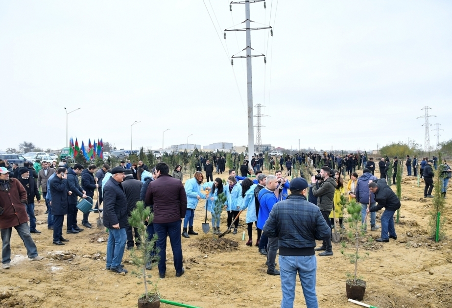 Bei Umwelt-Aktion mehr auf Initiative von Erster Vizepräsidentin Mehriban Aliyeva als 650.000 Bäume gepflanzt