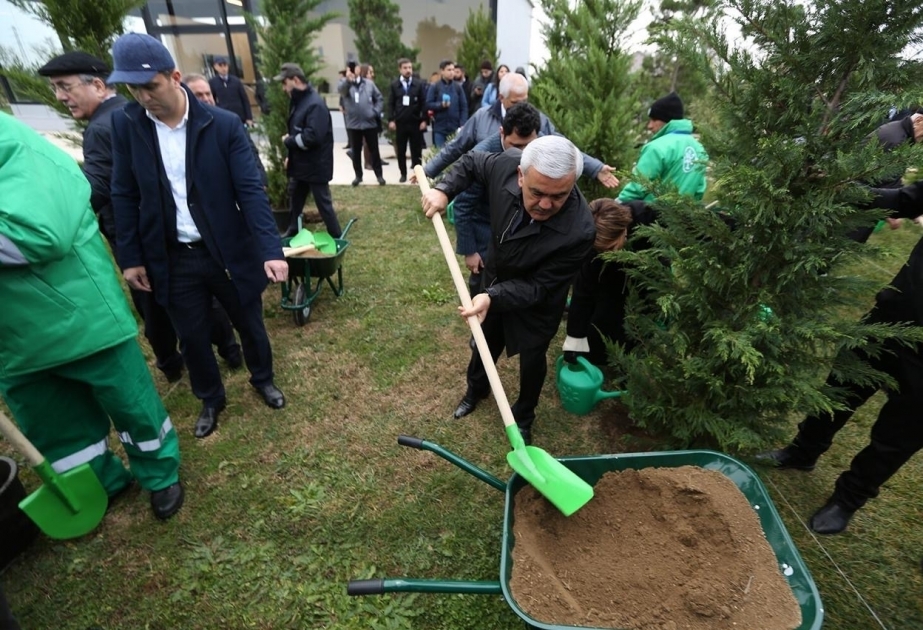 Los petroleros se unieron a la campaña ecológica "Plantar 650 mil árboles en un día"