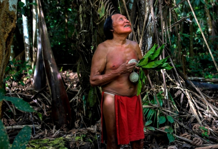 Varlı ölkələrin köməyi olmasa, Braziliya Amazon meşələrini xilas edə bilməyəcək