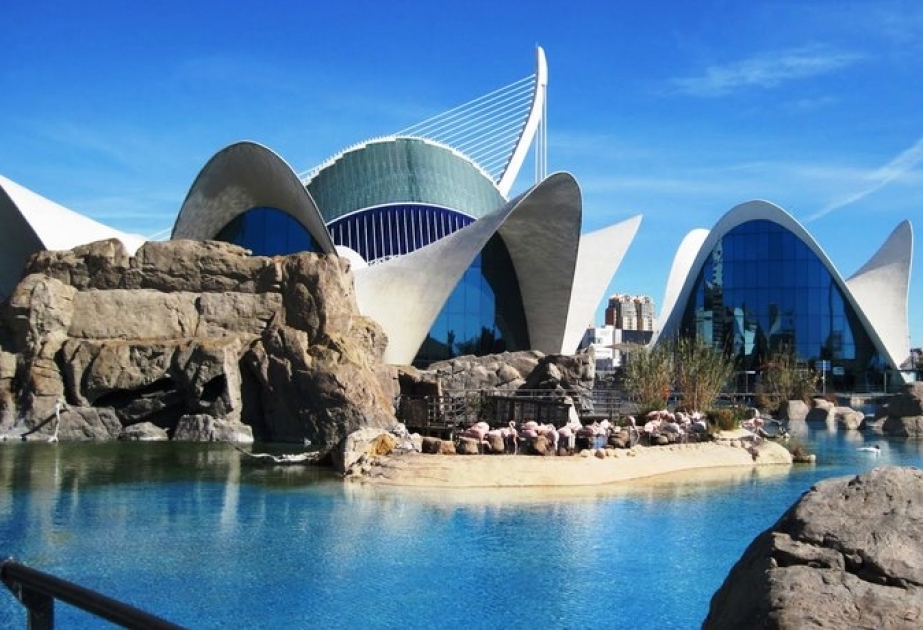 Океанографический парк Валенсии зарегистрировал рекордное количество посещений
