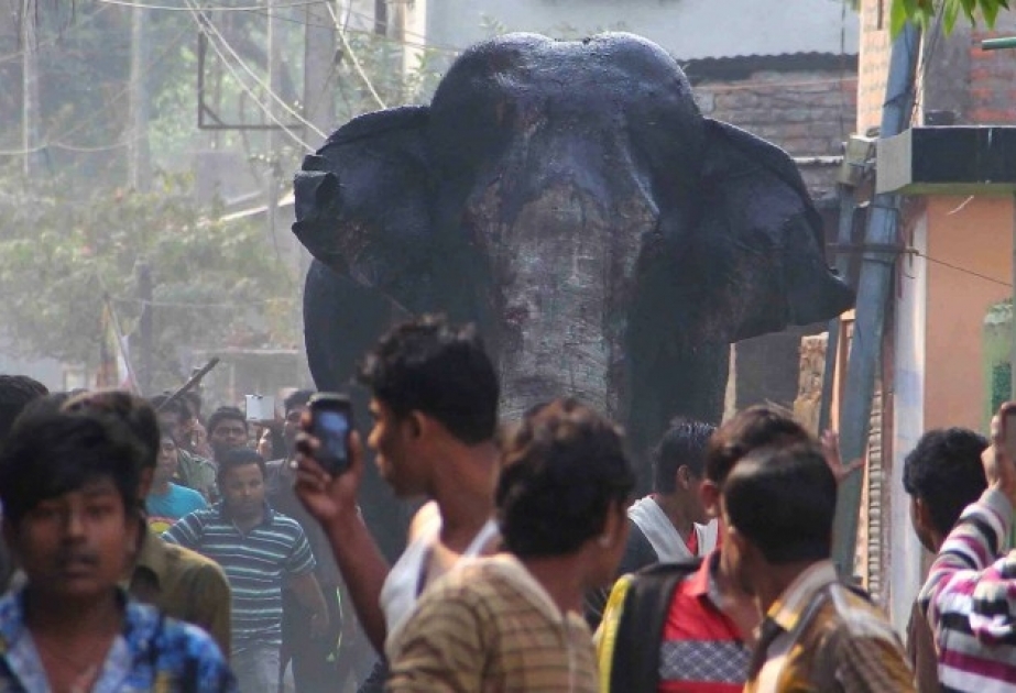 Nepal: Wilder Elefant zwei Frauen getötet