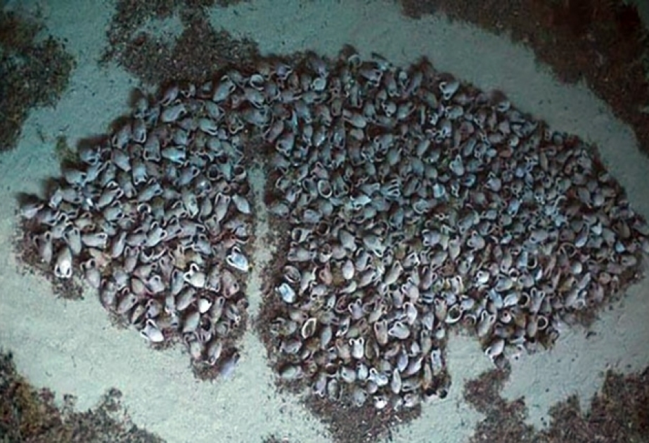 Amazing ancient Roman shipwreck discovered in Kefalonia