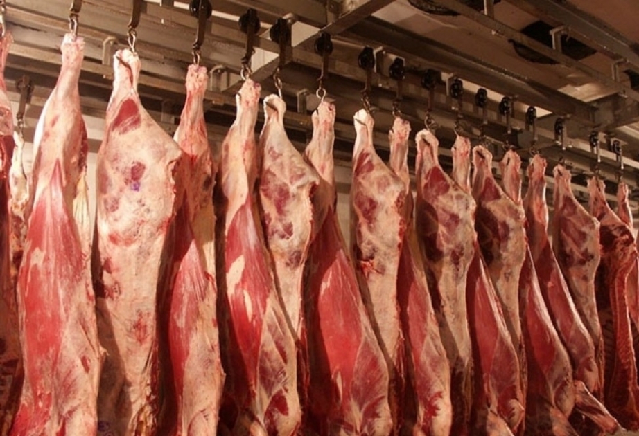 ارتفاع إنتاج اللحم 2.8 في المائة في البلد