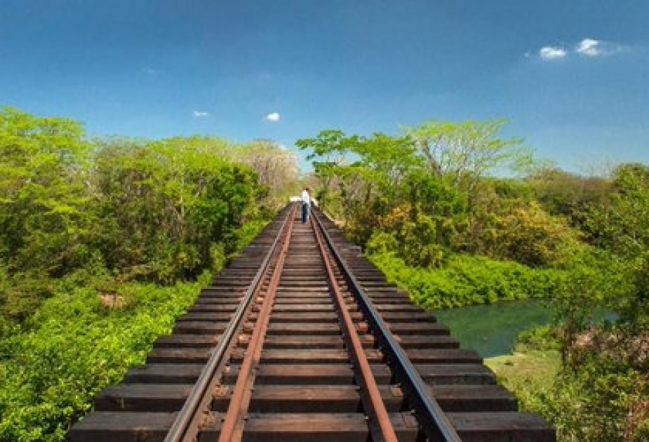 Apoya Unesco construcción en México del Tren Maya