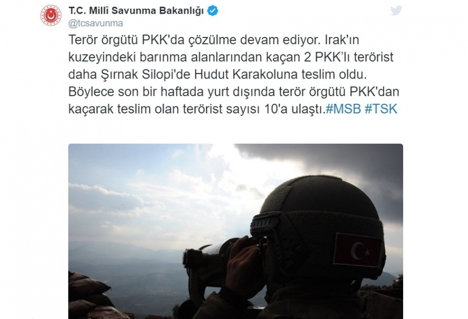 2 PKK terrorists in N. Iraq surrender to Turkish forces