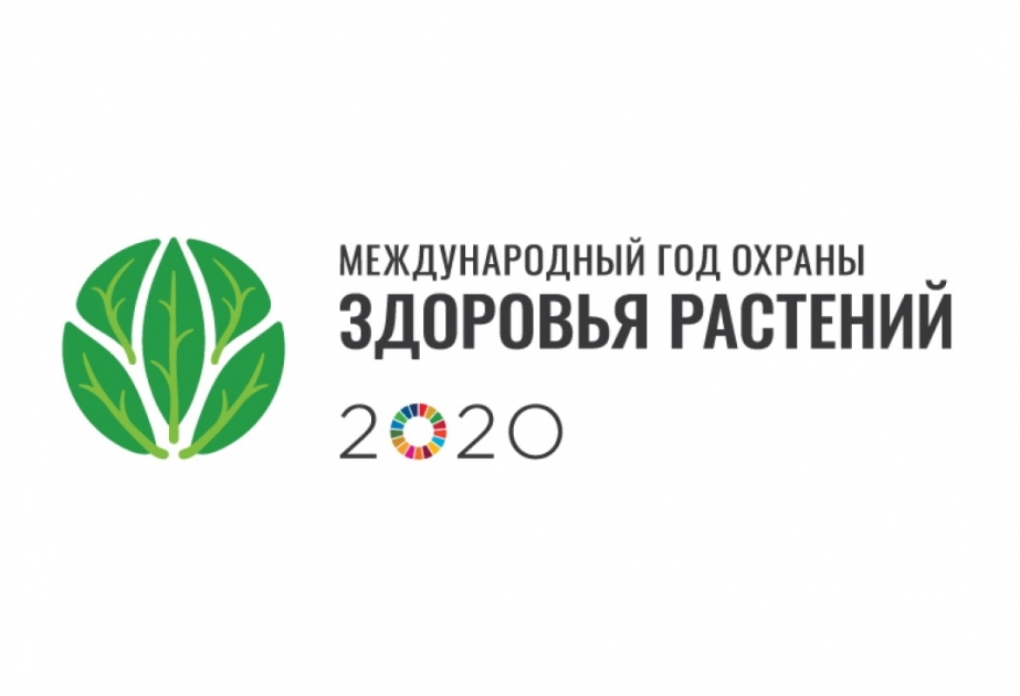 ООН провозгласила 2020 год Международным годом охраны здоровья растений