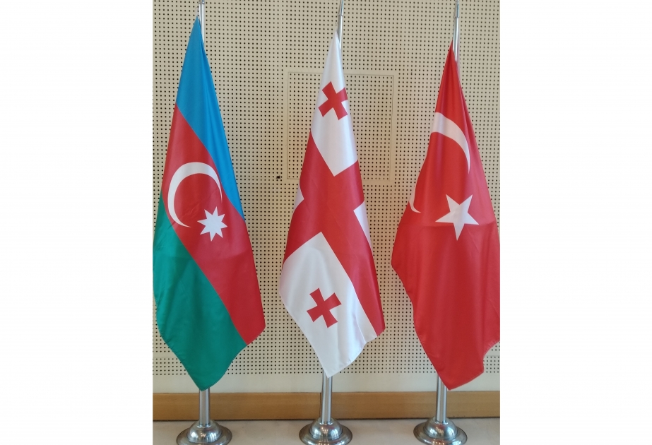 Aserbaidschans Außenminister zu Besuch in Georgien