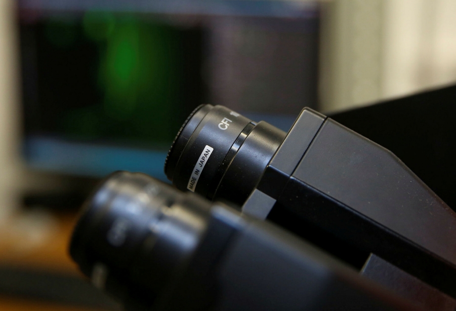 Israeli scientists discover TB vaccine lowers rates of Alzheimer’s disease in cancer patients