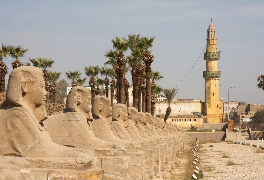 Egypt begins moving Luxor sphinxes to Tahrir Square
