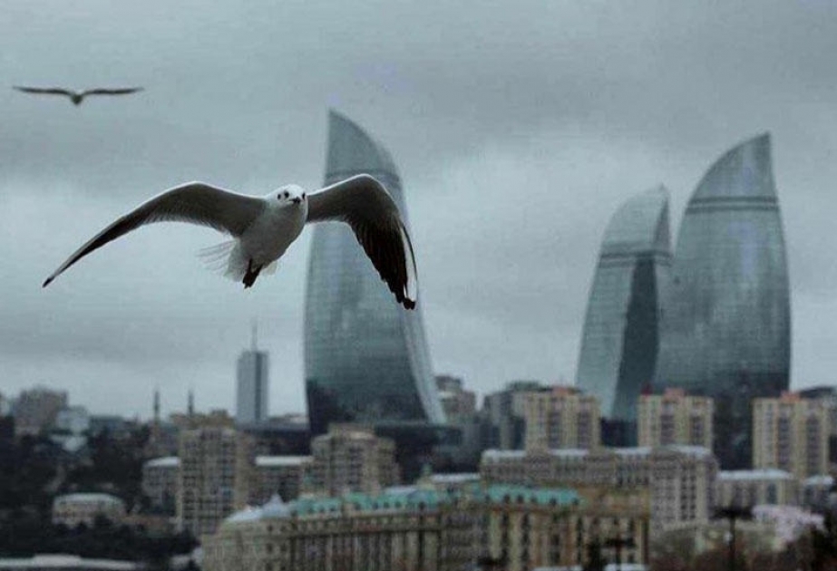 В последний день уходящего года на территории страны ожидается 14 градусов тепла
