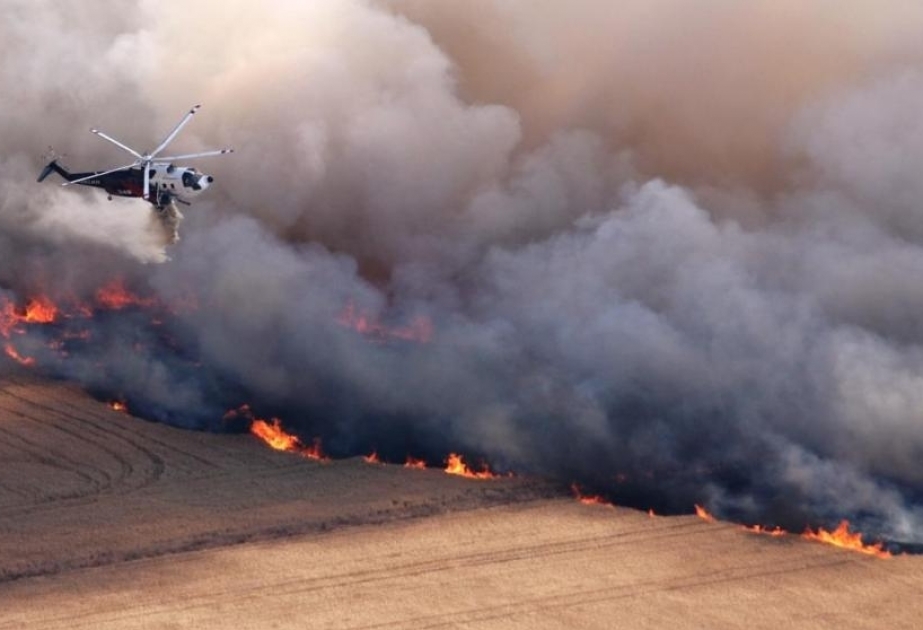 Buschbrände in Australien: 30.000 Touristen müssen evakuiert werden