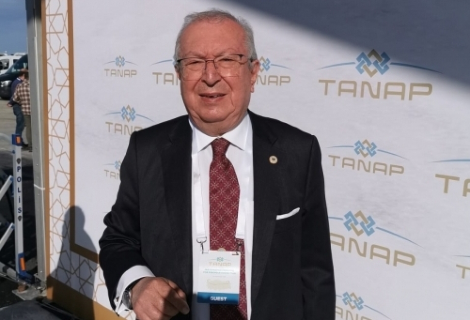 Professor Akkan Suver: Dünya Azərbaycanlılarının Həmrəylik Günü birlik və bərabərlik platformasıdır
