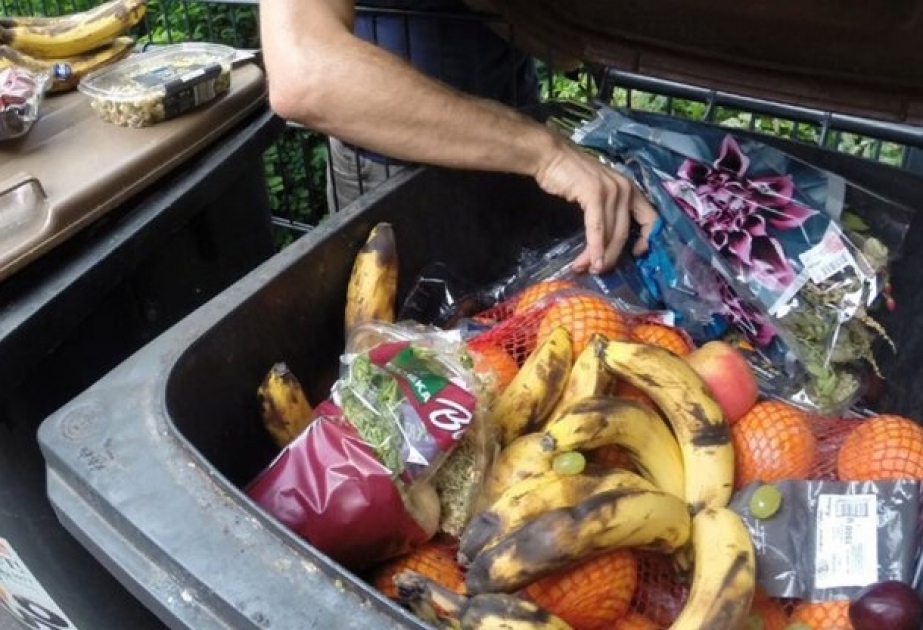 Треть продуктов питания в мире выбрасывается